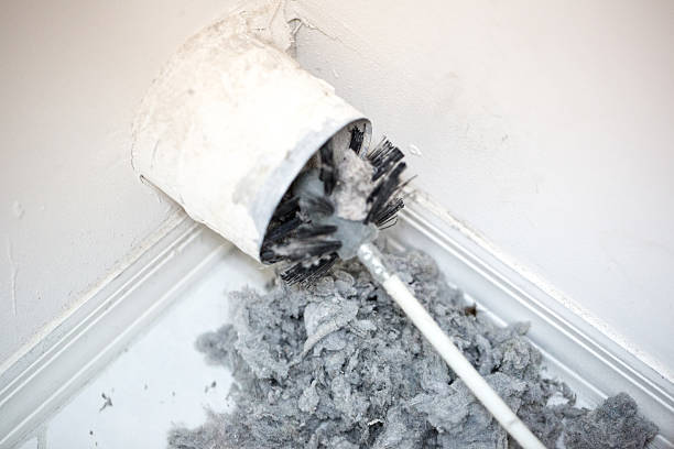 Best Professional Duct Cleaning Services  in Holtville, CA